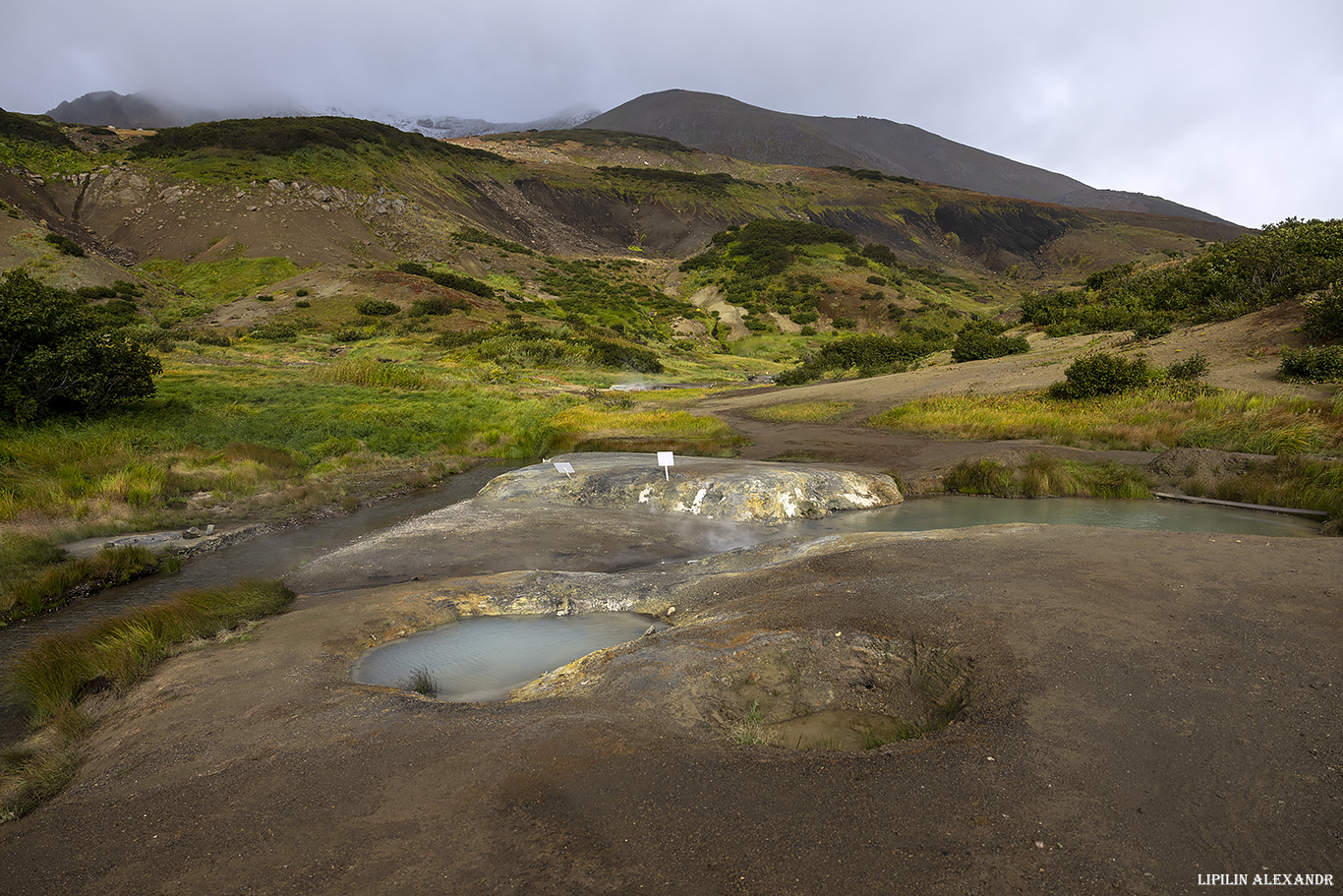 Дачные источники