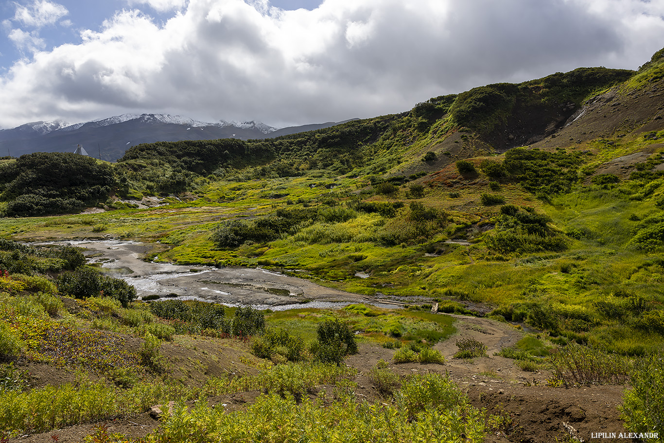 Дачные источники