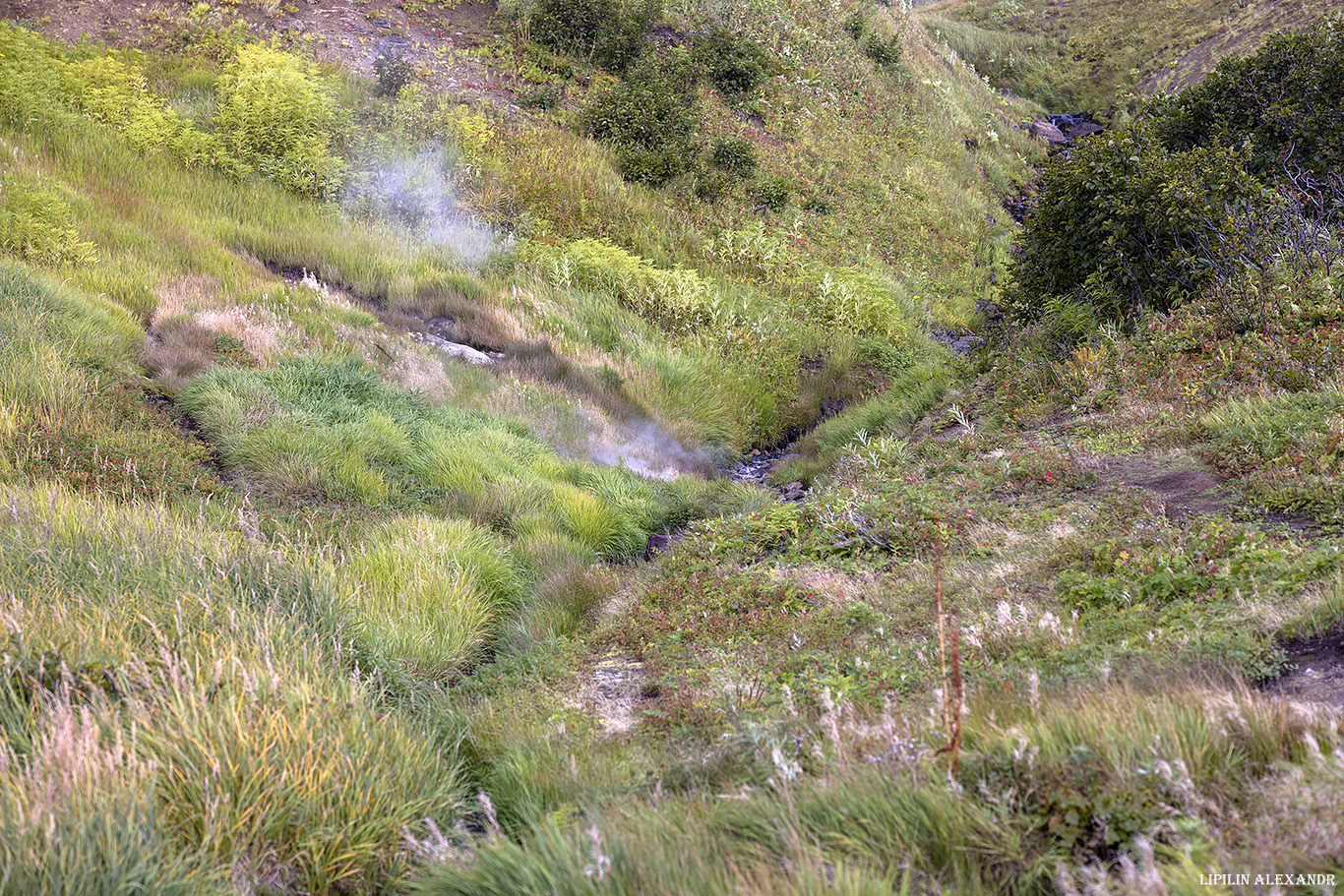 Дачные источники