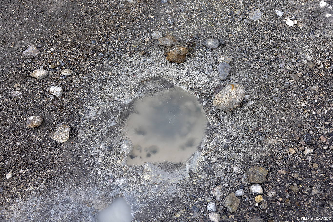 Дачные источники