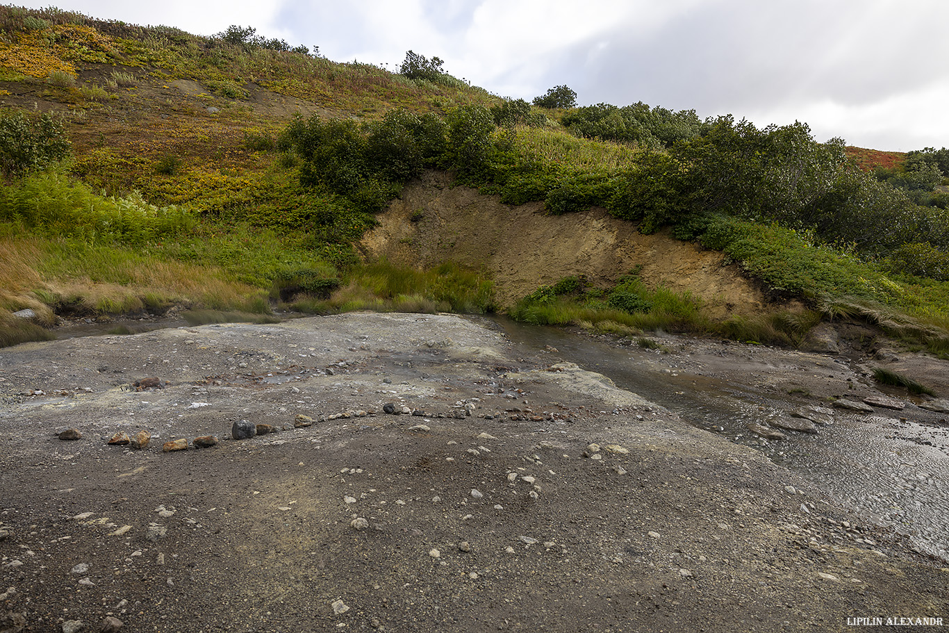 Дачные источники