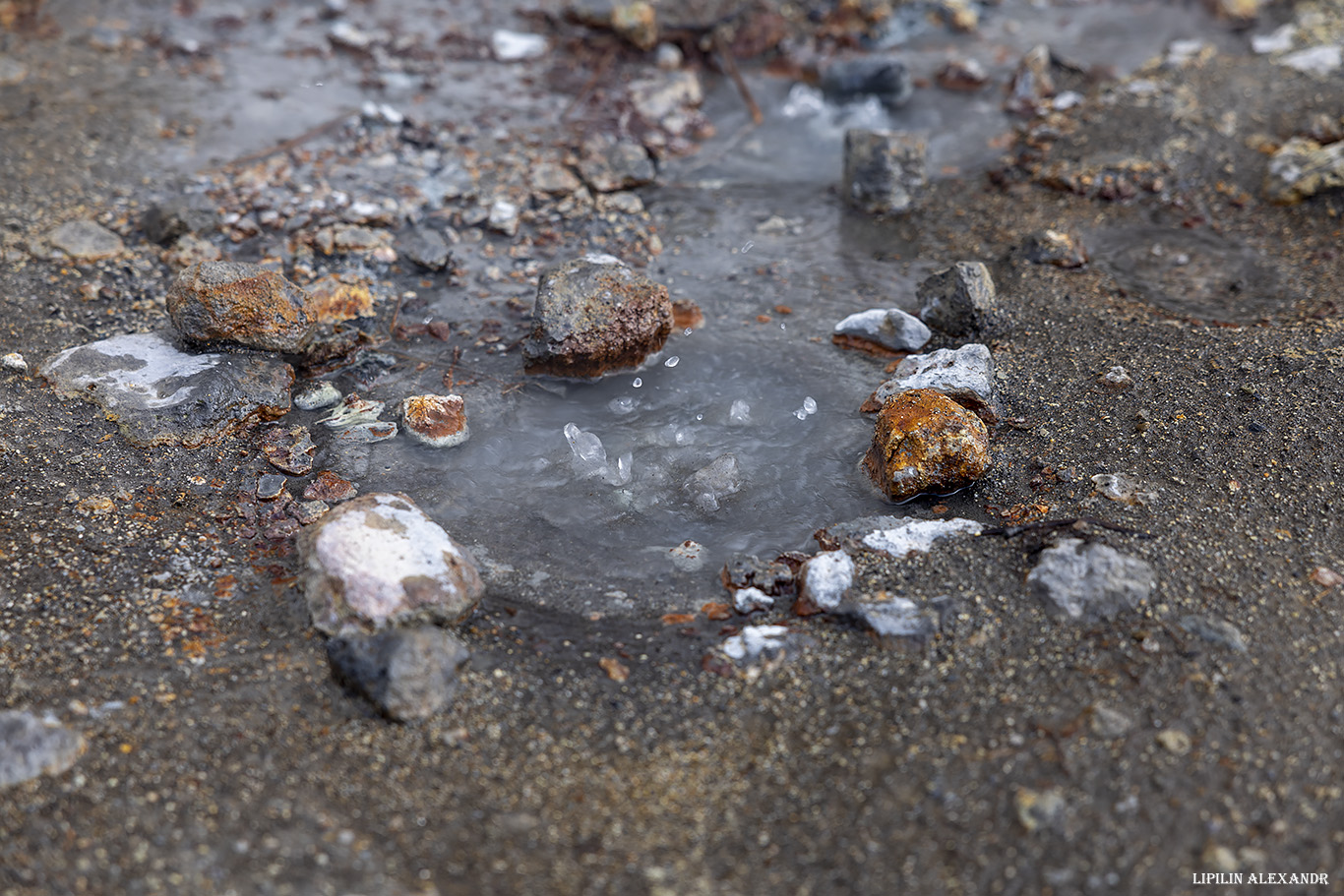 Дачные источники