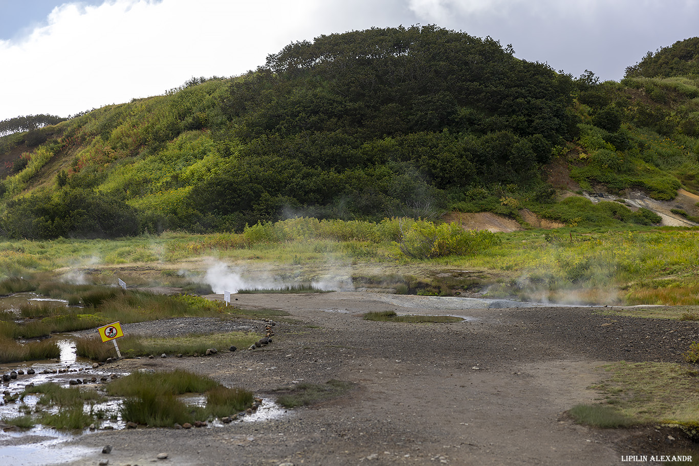 Дачные источники