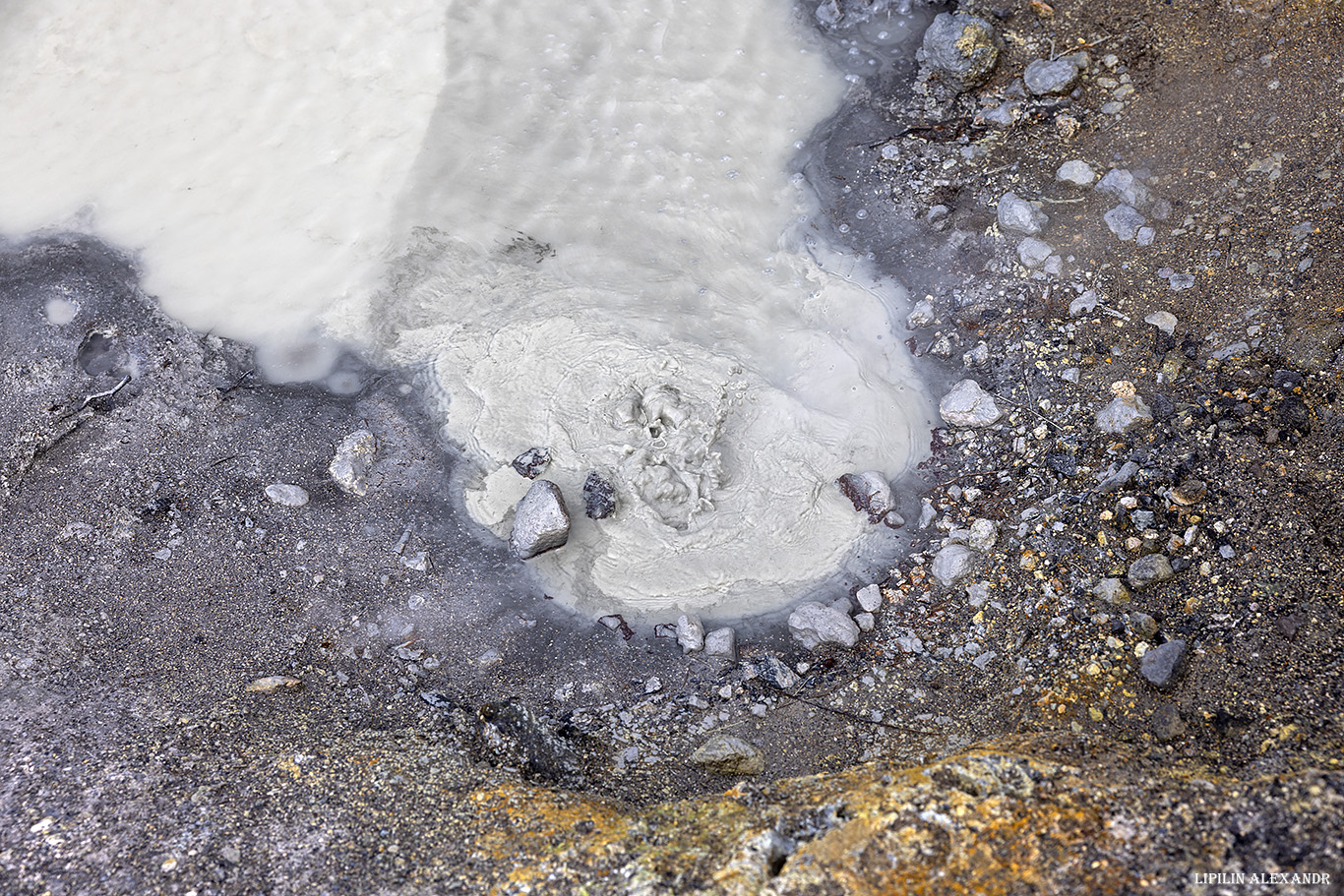 Дачные источники