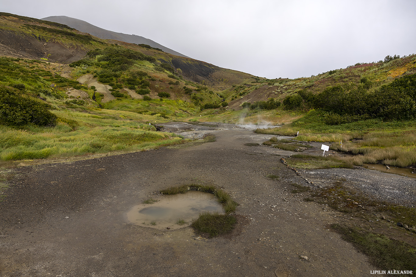Дачные источники