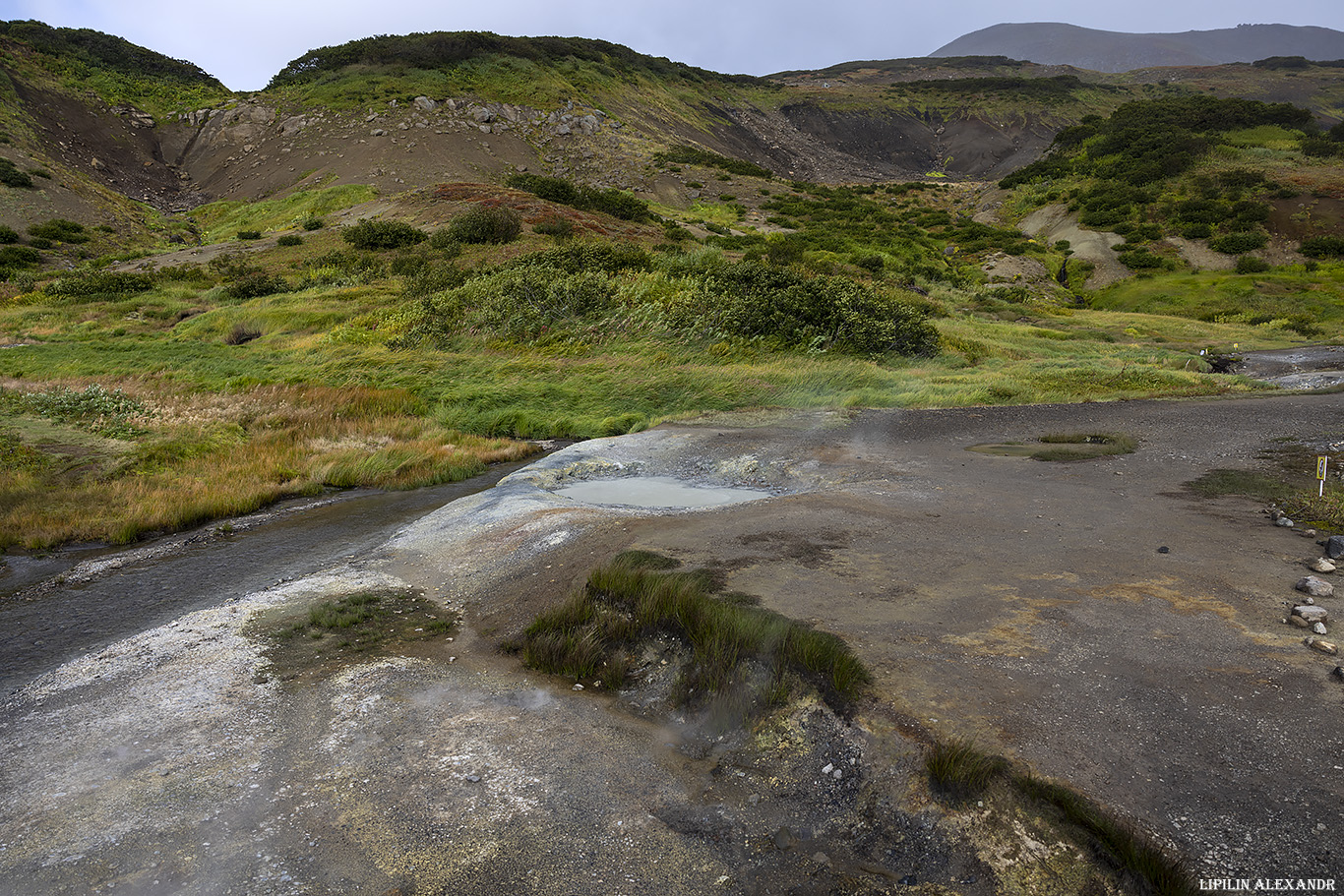 Дачные источники