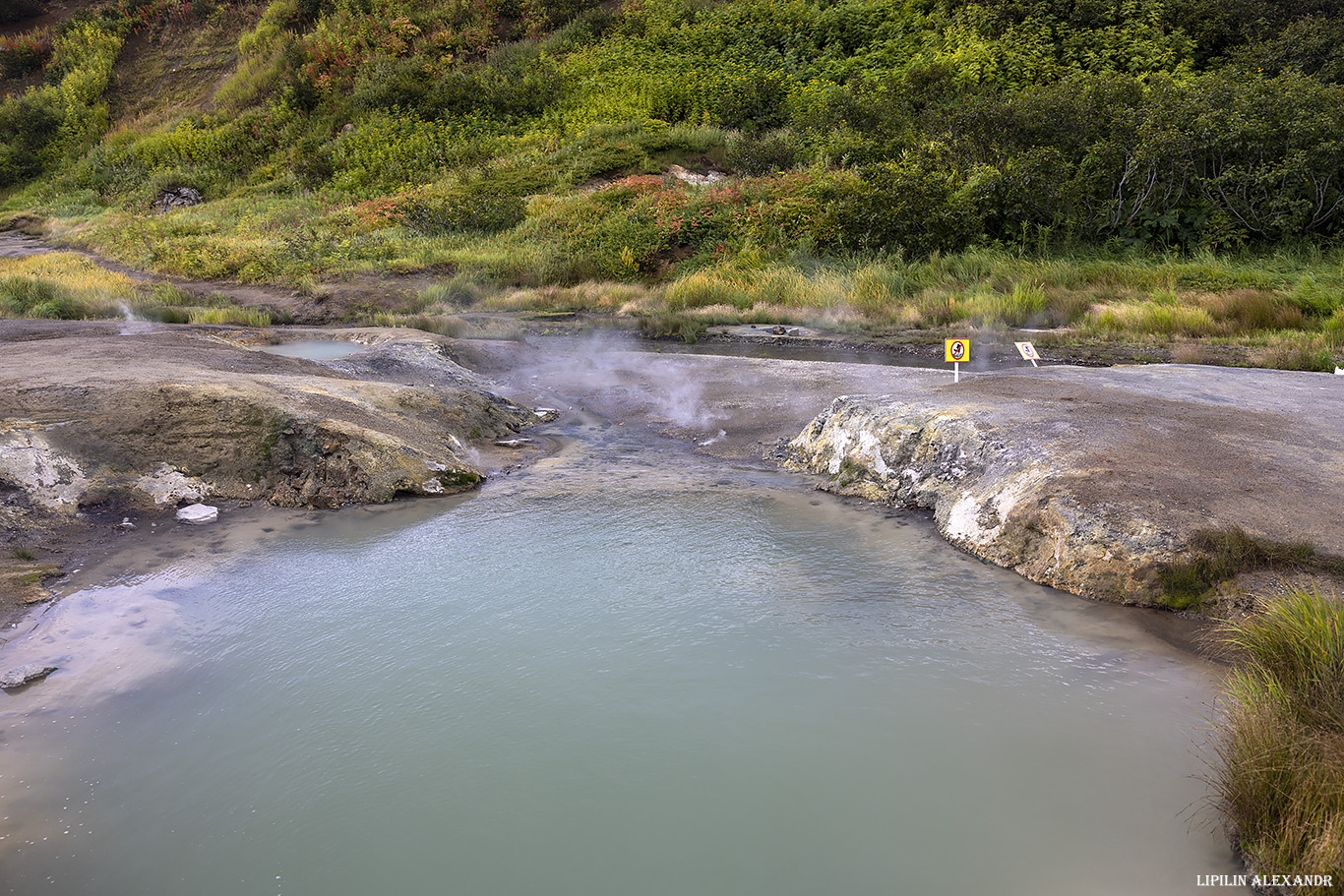 Дачные источники