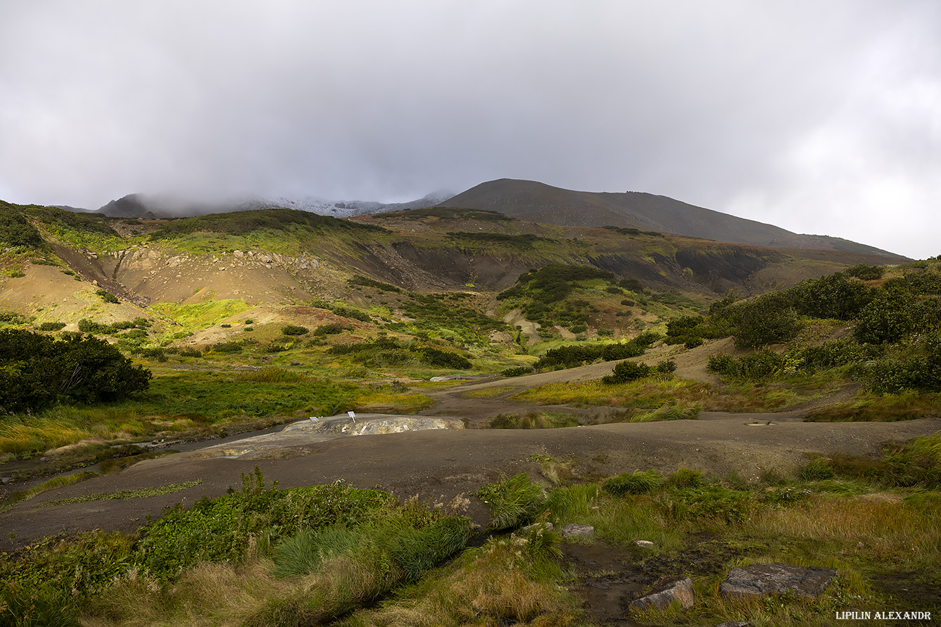 Дачные источники