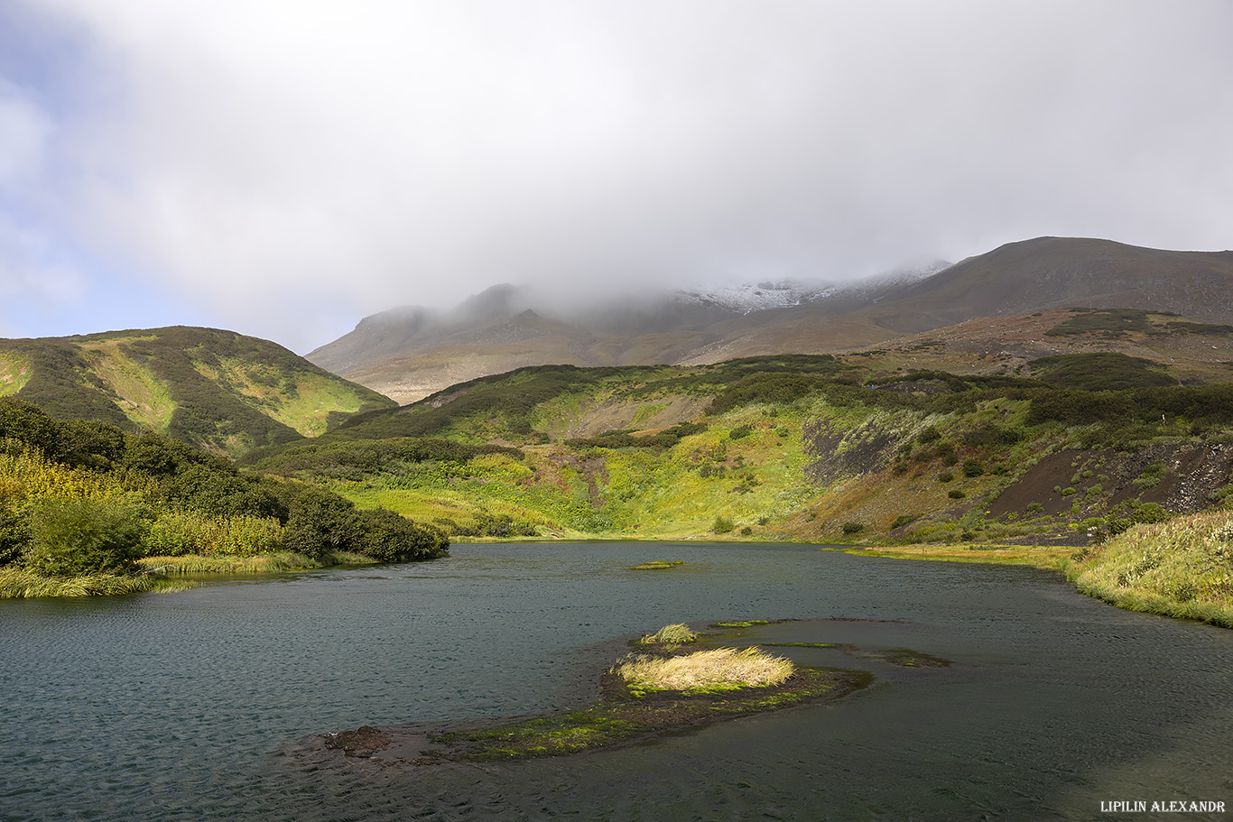 Дачные источники