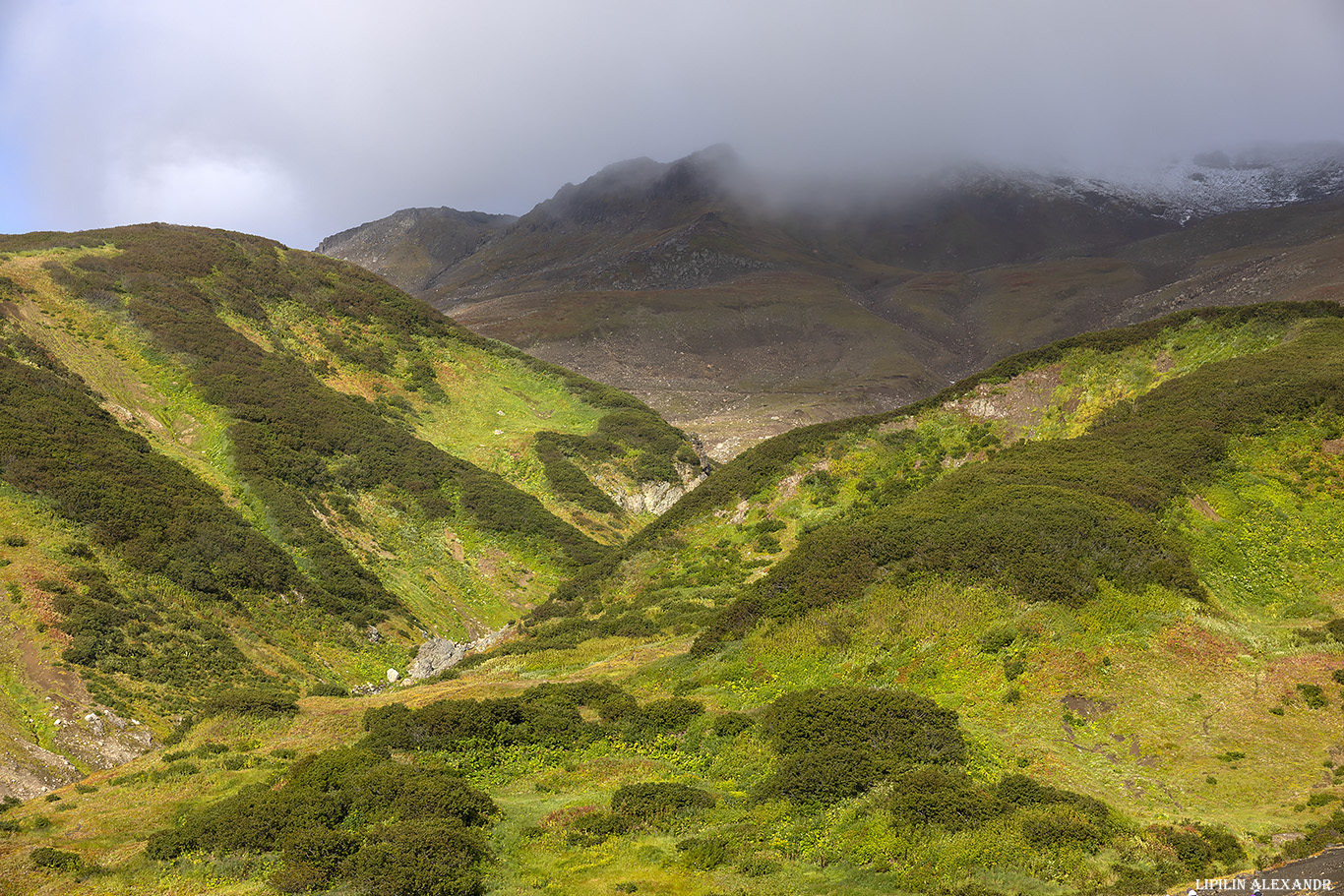 Дачные источники
