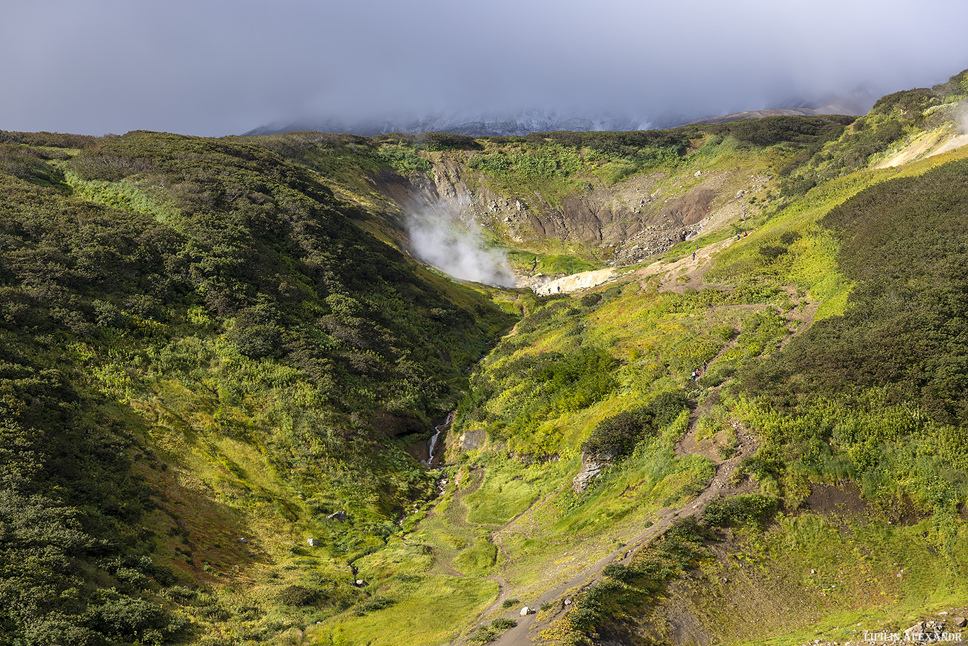 Дачные источники
