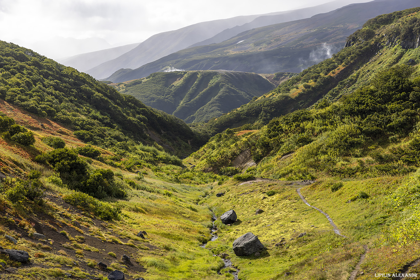 Дачные источники