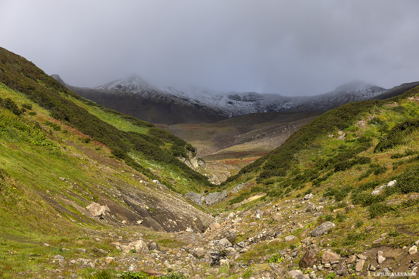 Дачные источники