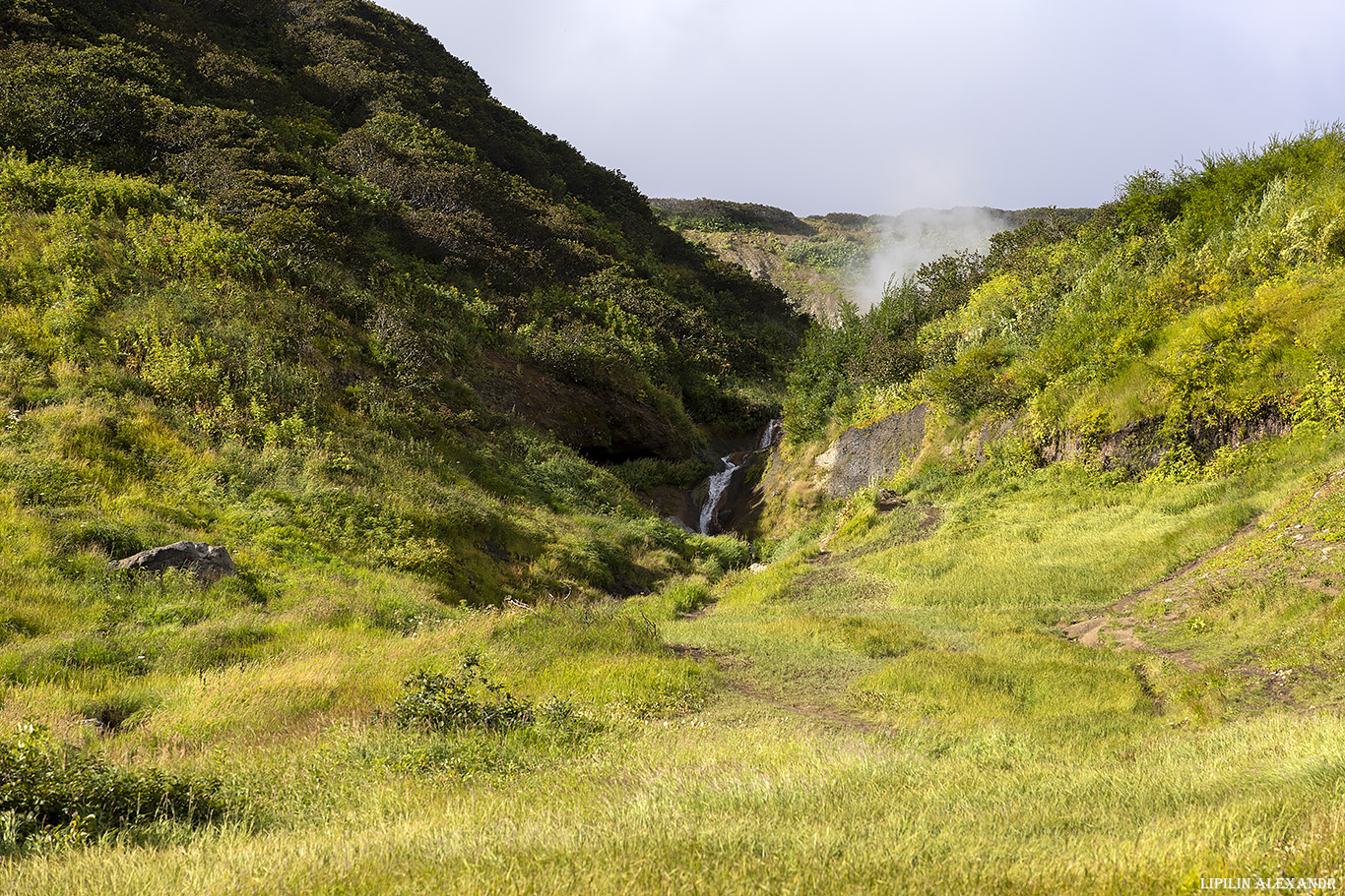 Дачные источники