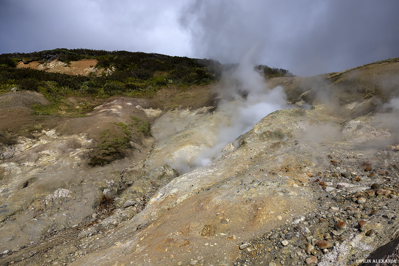 Дачные источники