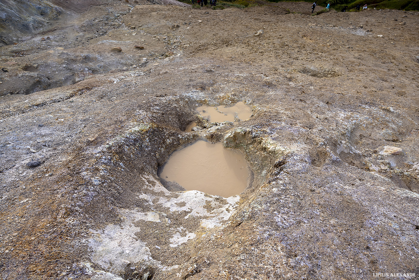 Дачные источники