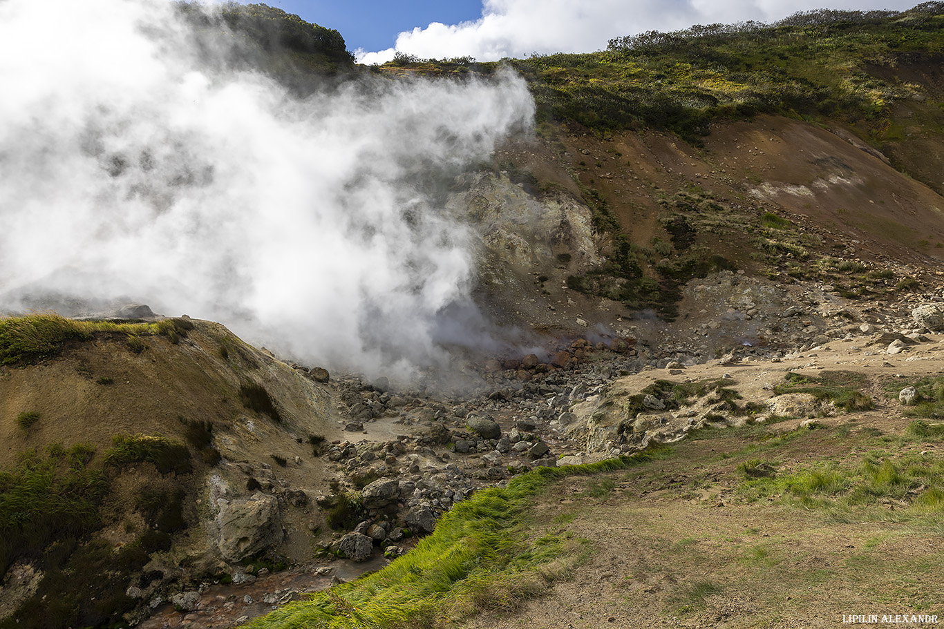 Дачные источники