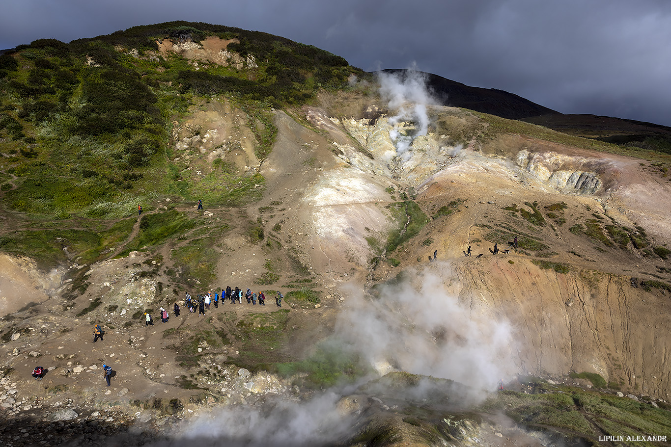 Дачные источники