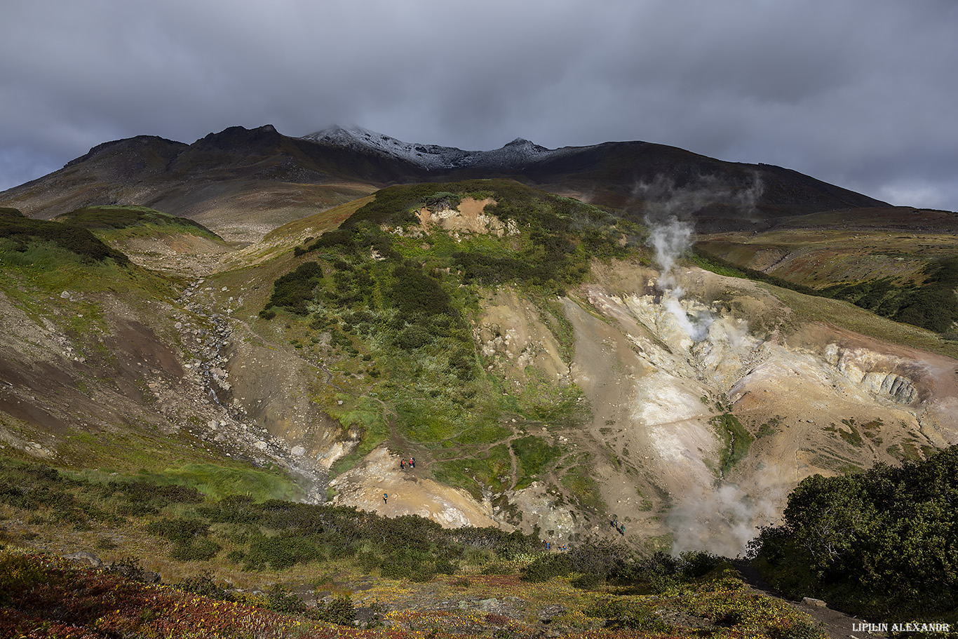 Дачные источники