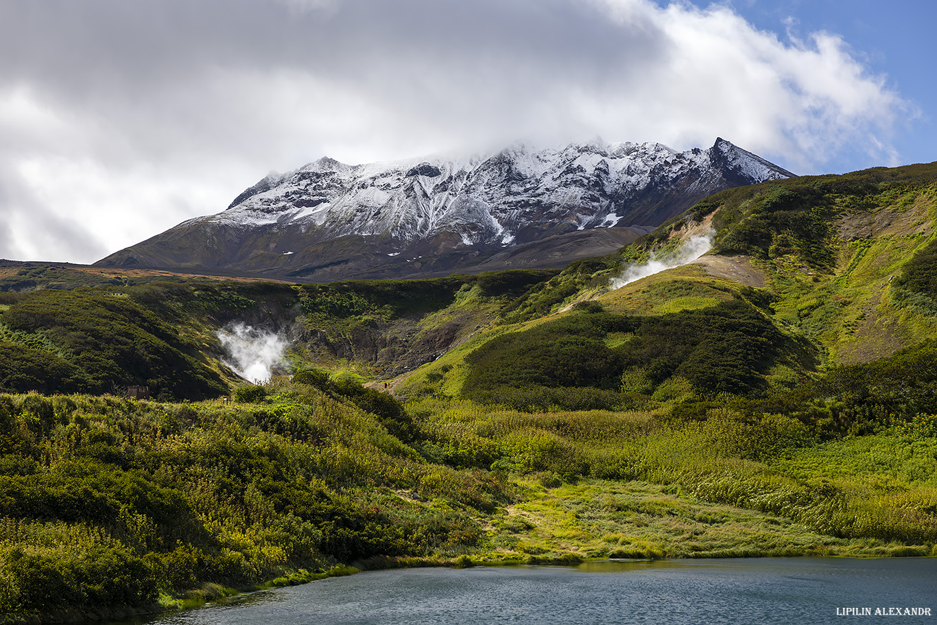 Дачные источники