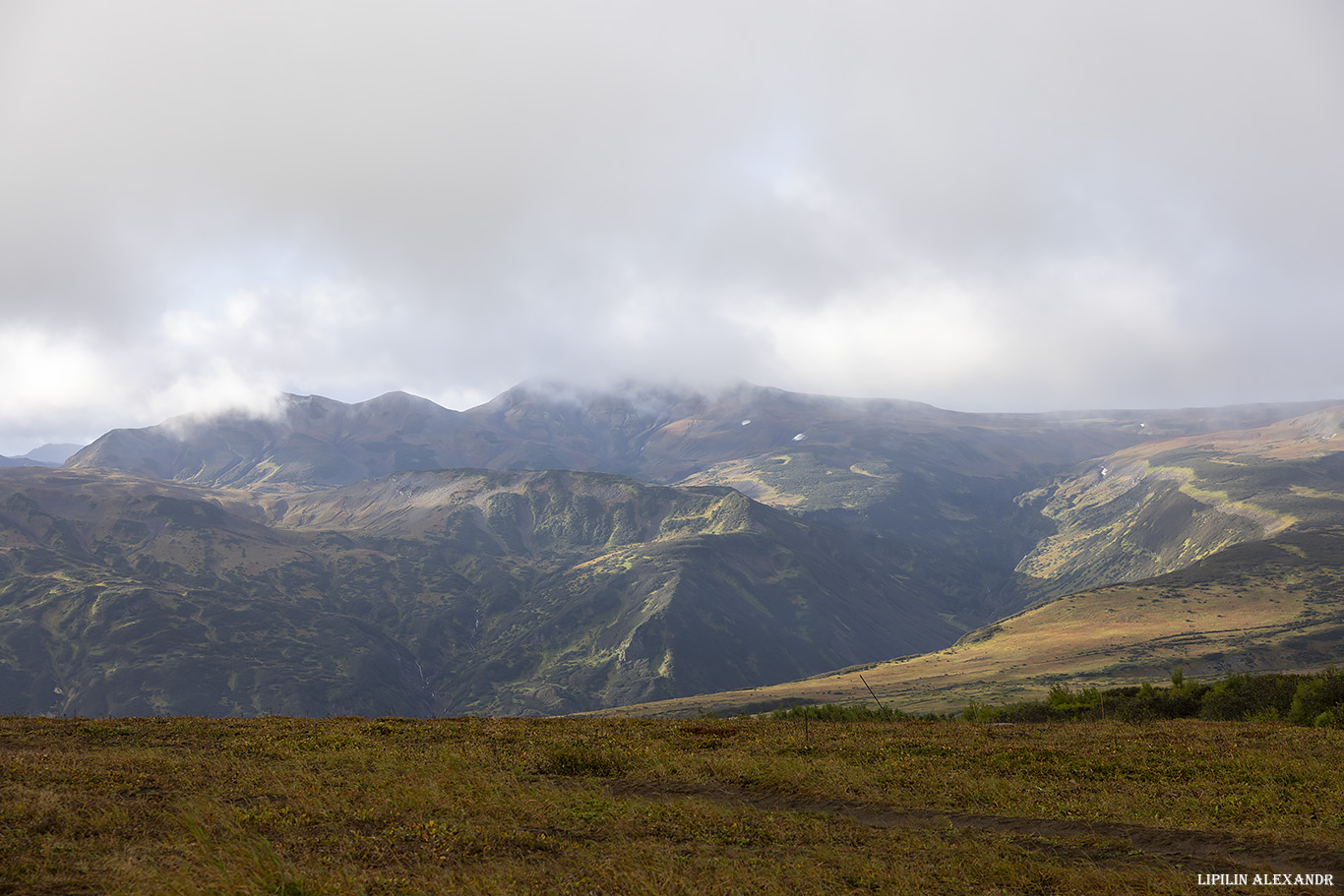 Дорога на вулкан Мутновского