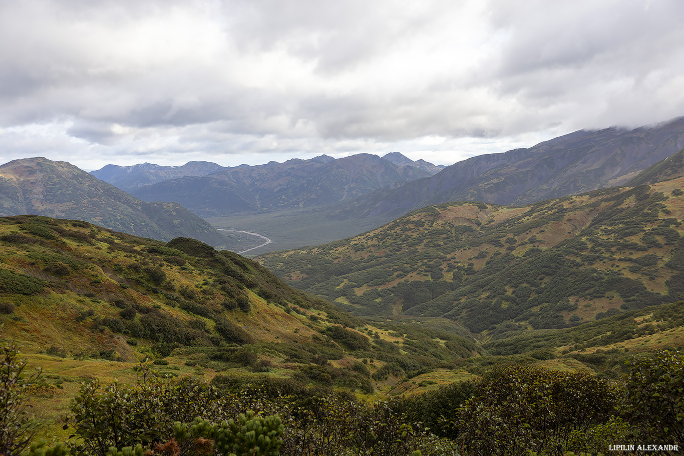 Дорога на вулкан Мутновского