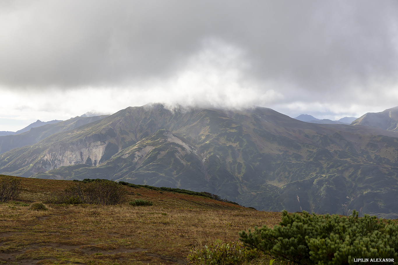 Дорога на вулкан Мутновского