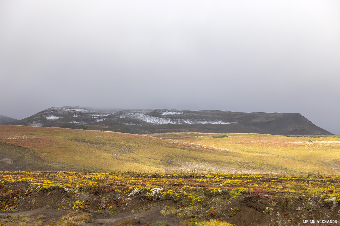 Дорога на вулкан Мутновского