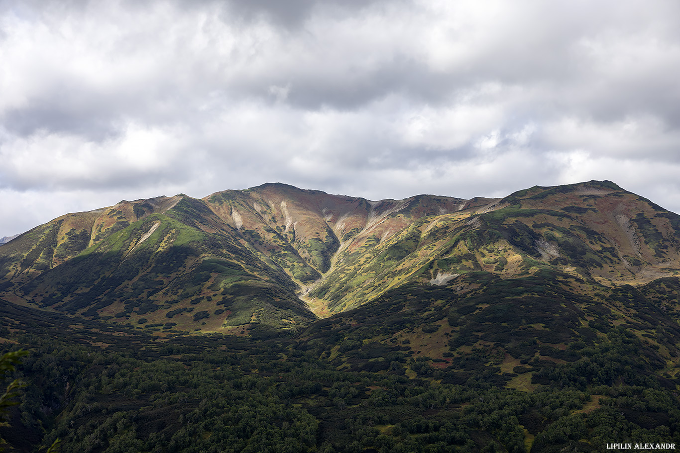 Дорога на вулкан Мутновского