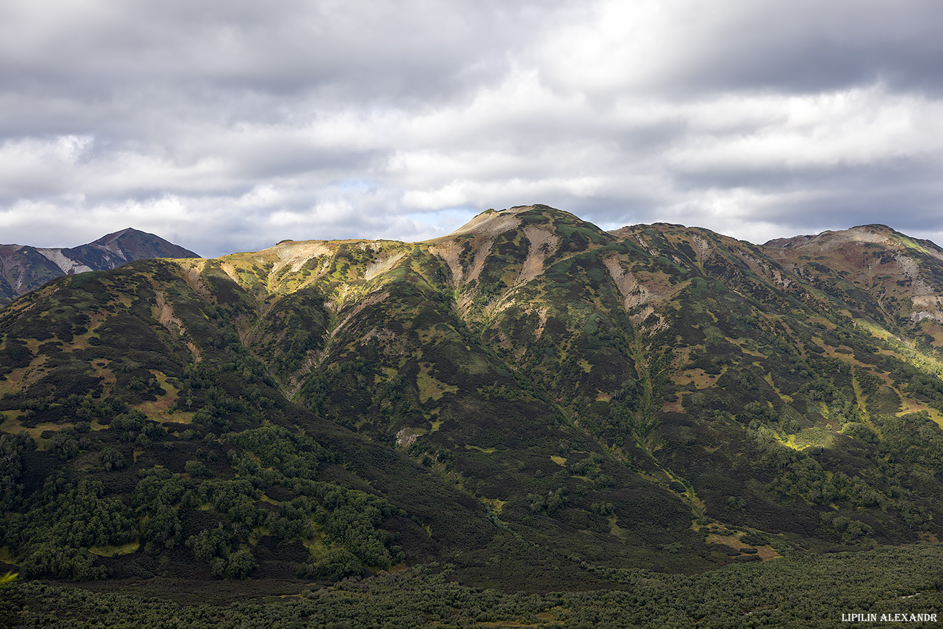 Дорога на вулкан Мутновского