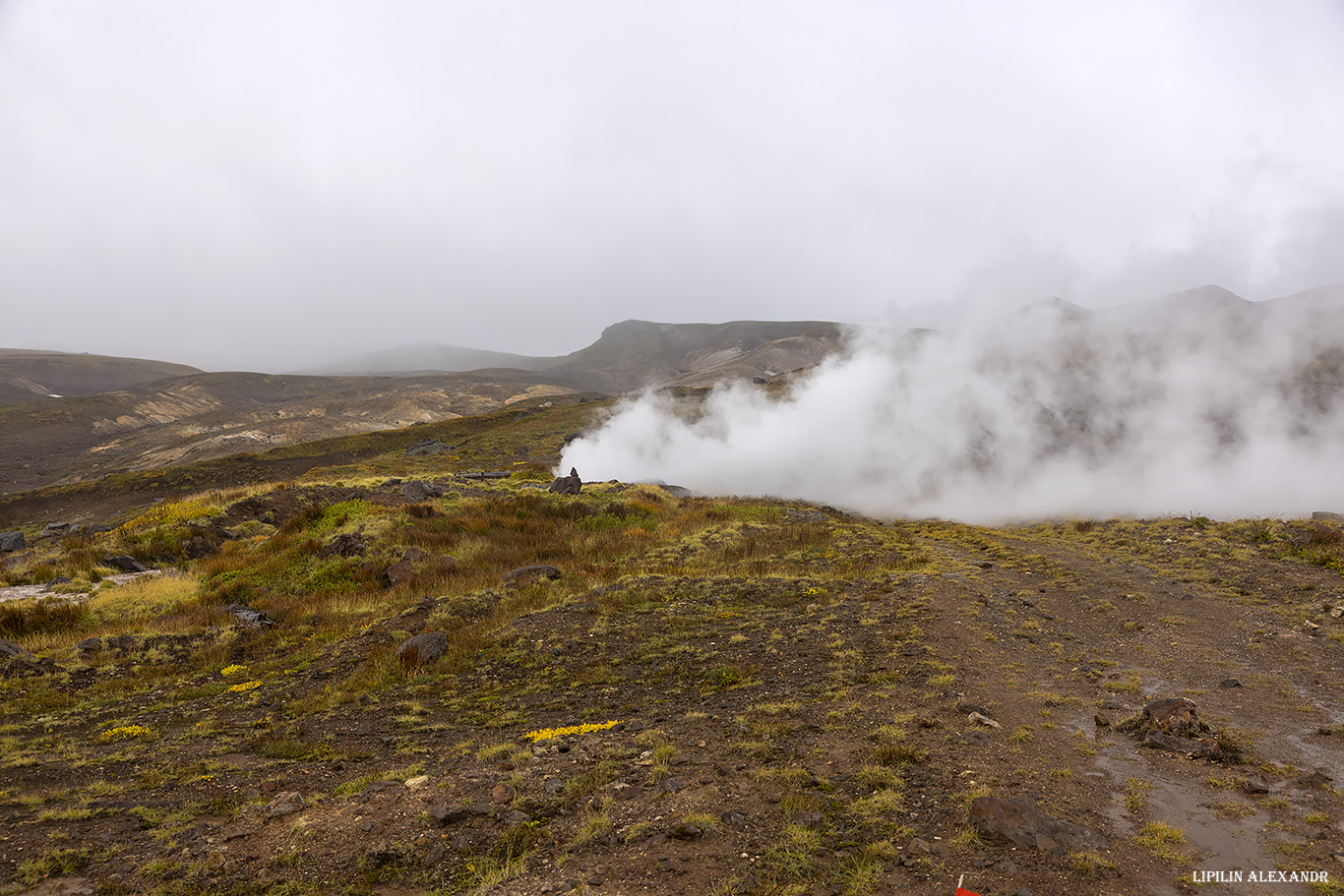 Дорога на вулкан Мутновского