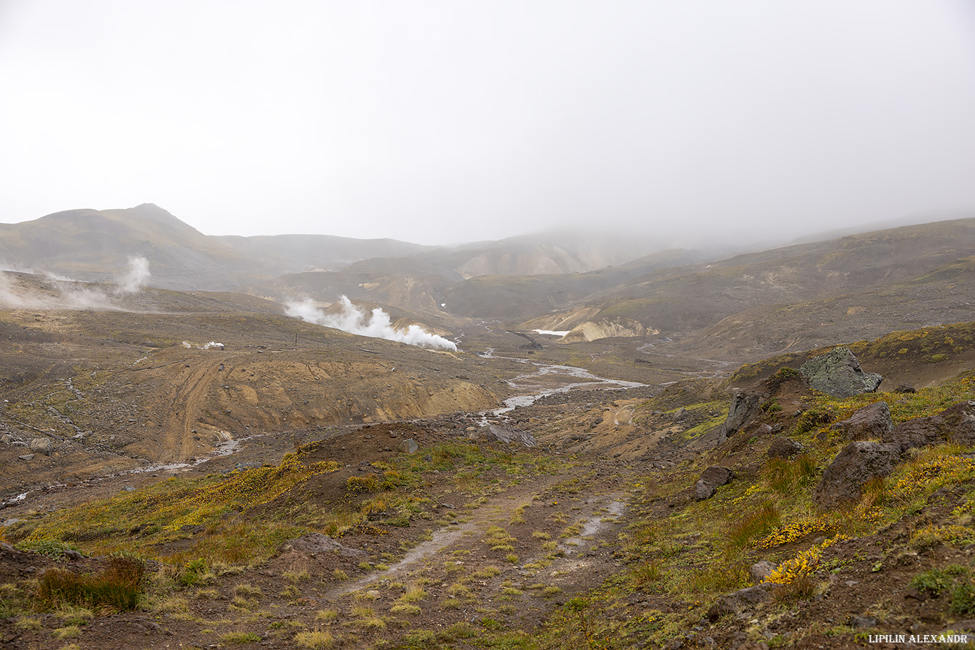 Дорога на вулкан Мутновского