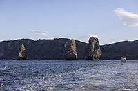 C���� ��� ����� 2024/09