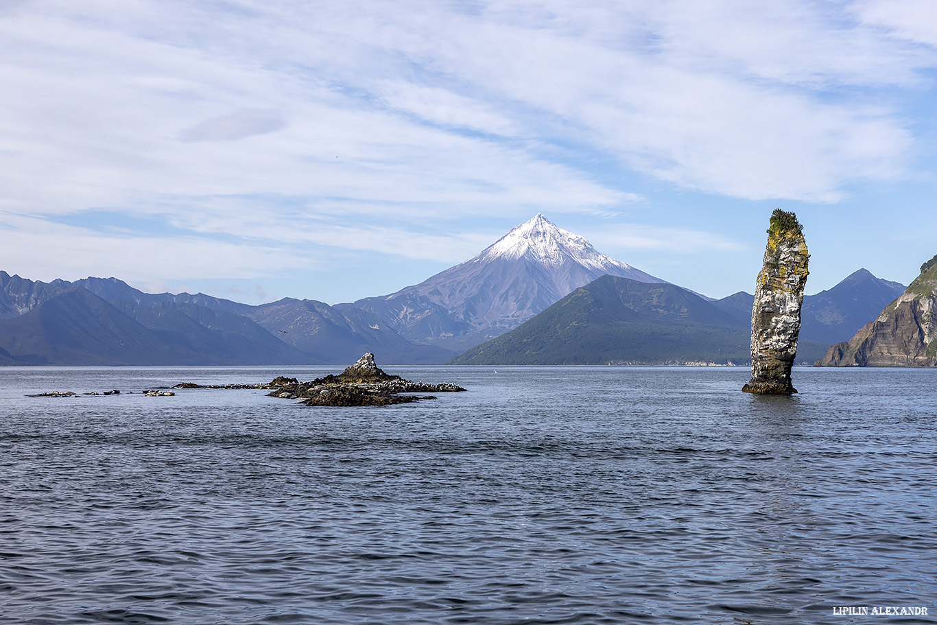 Птичий базар