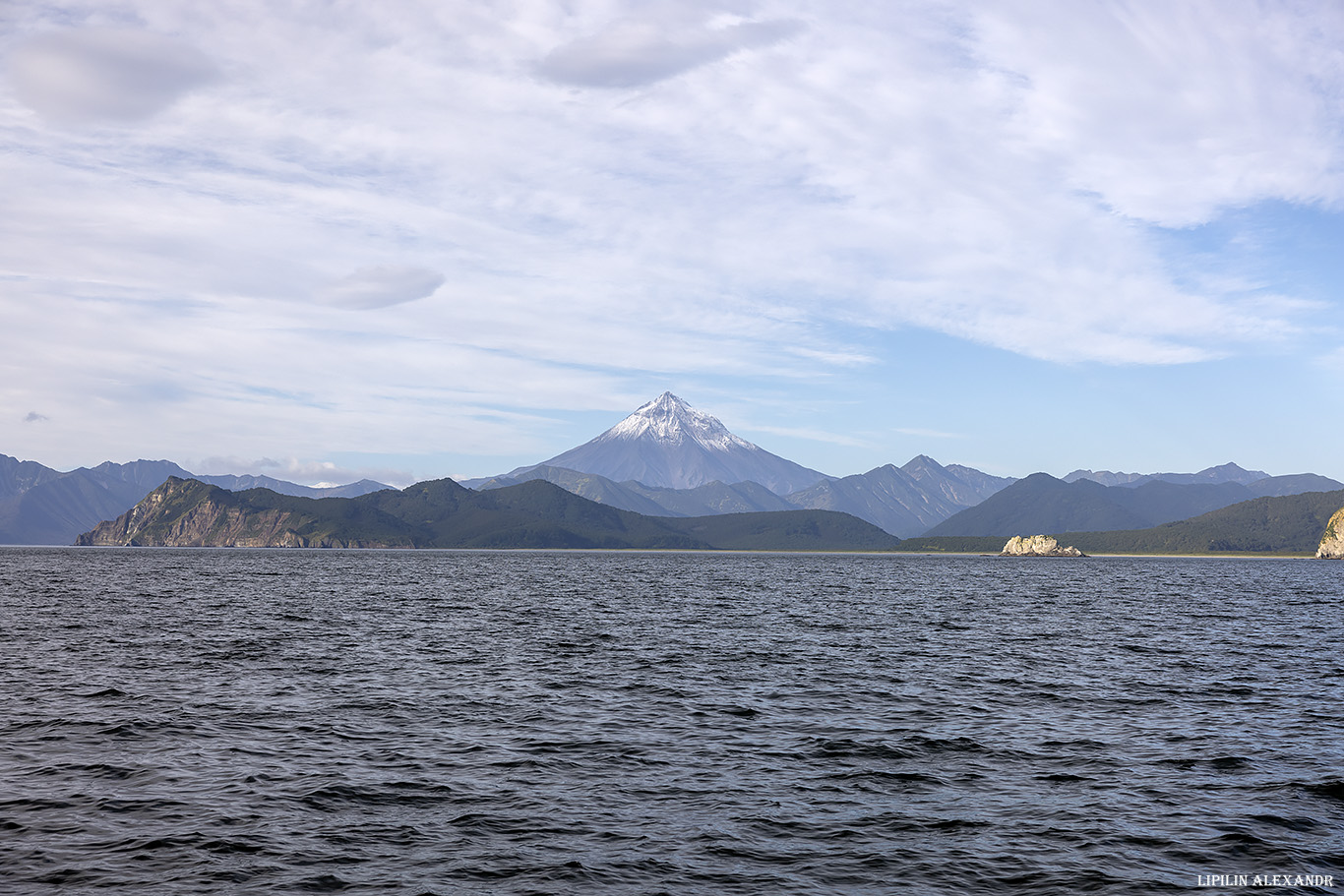 Птичий базар