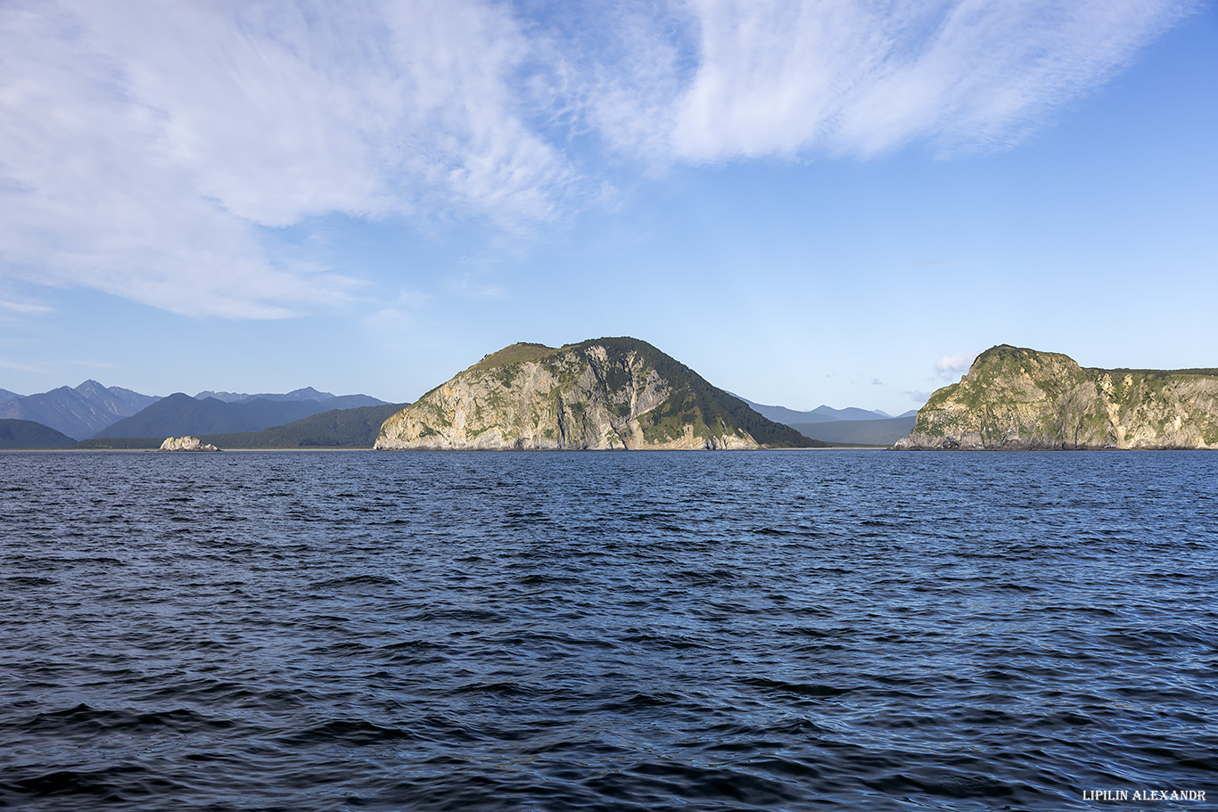 Птичий базар