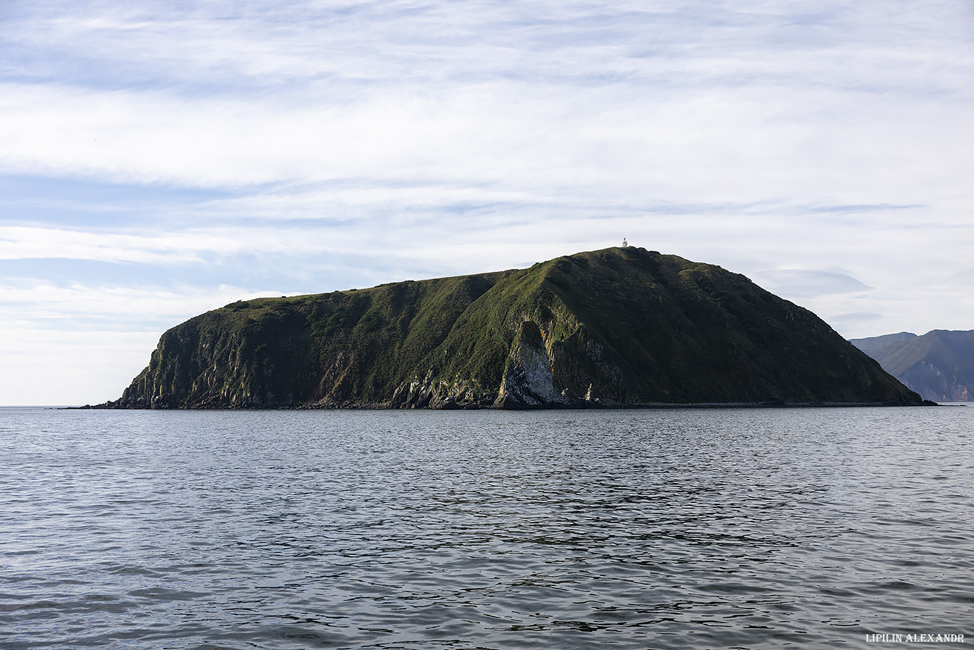 Птичий базар