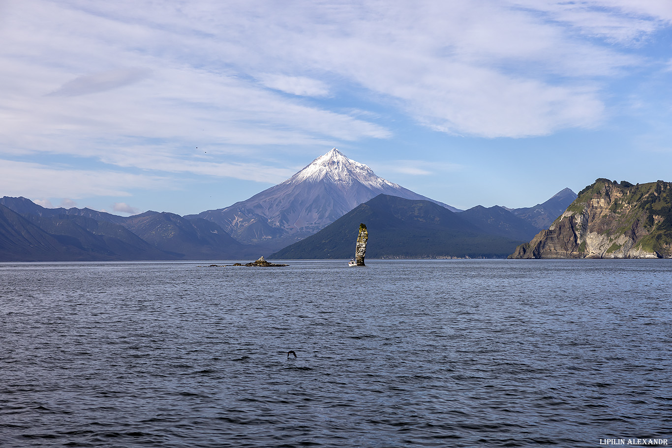 Птичий базар