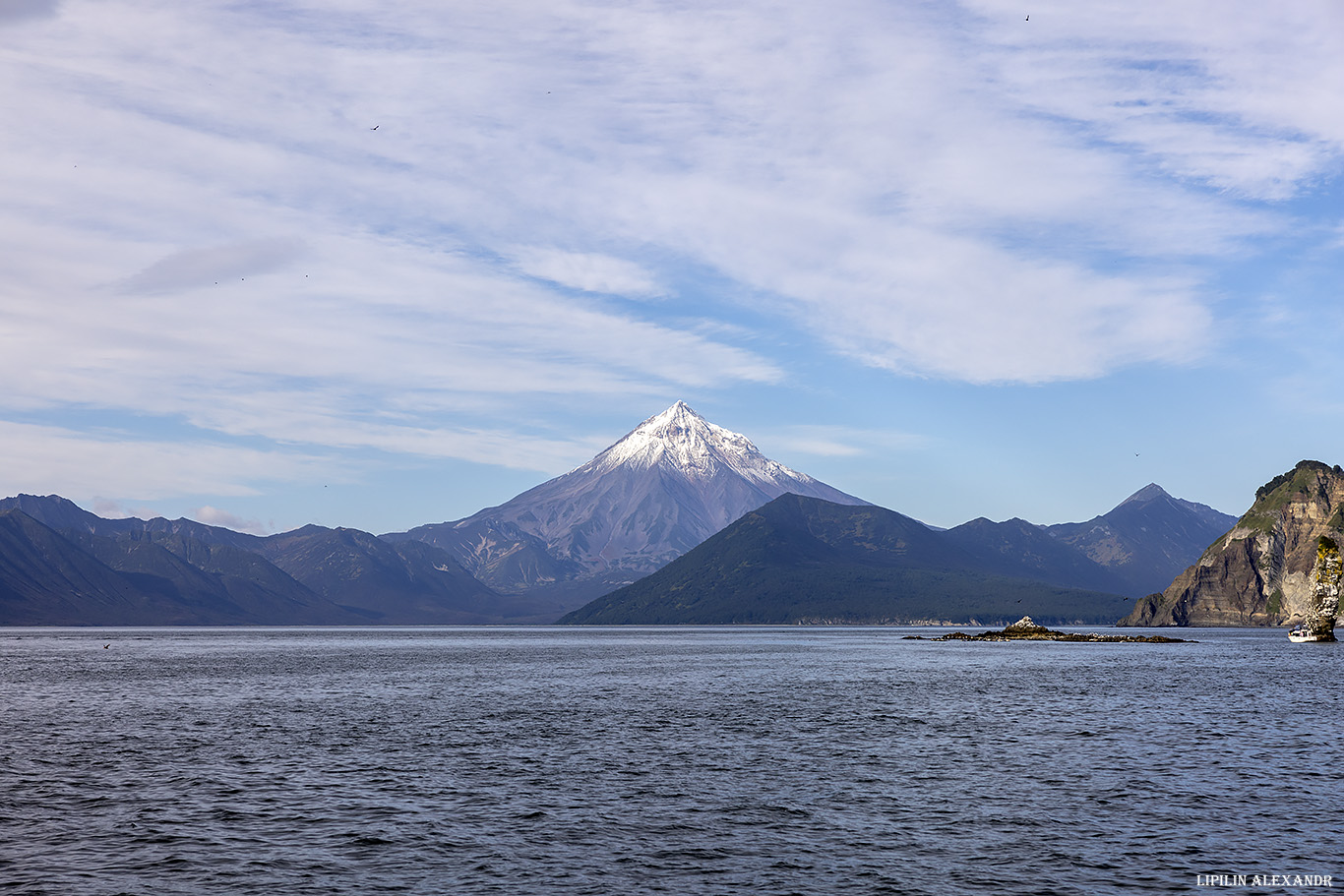 Птичий базар