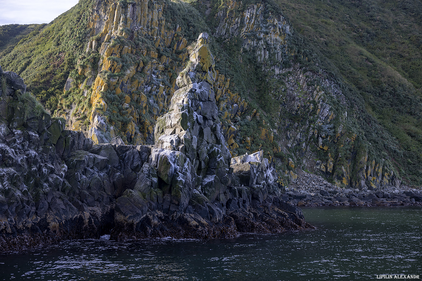 Птичий базар