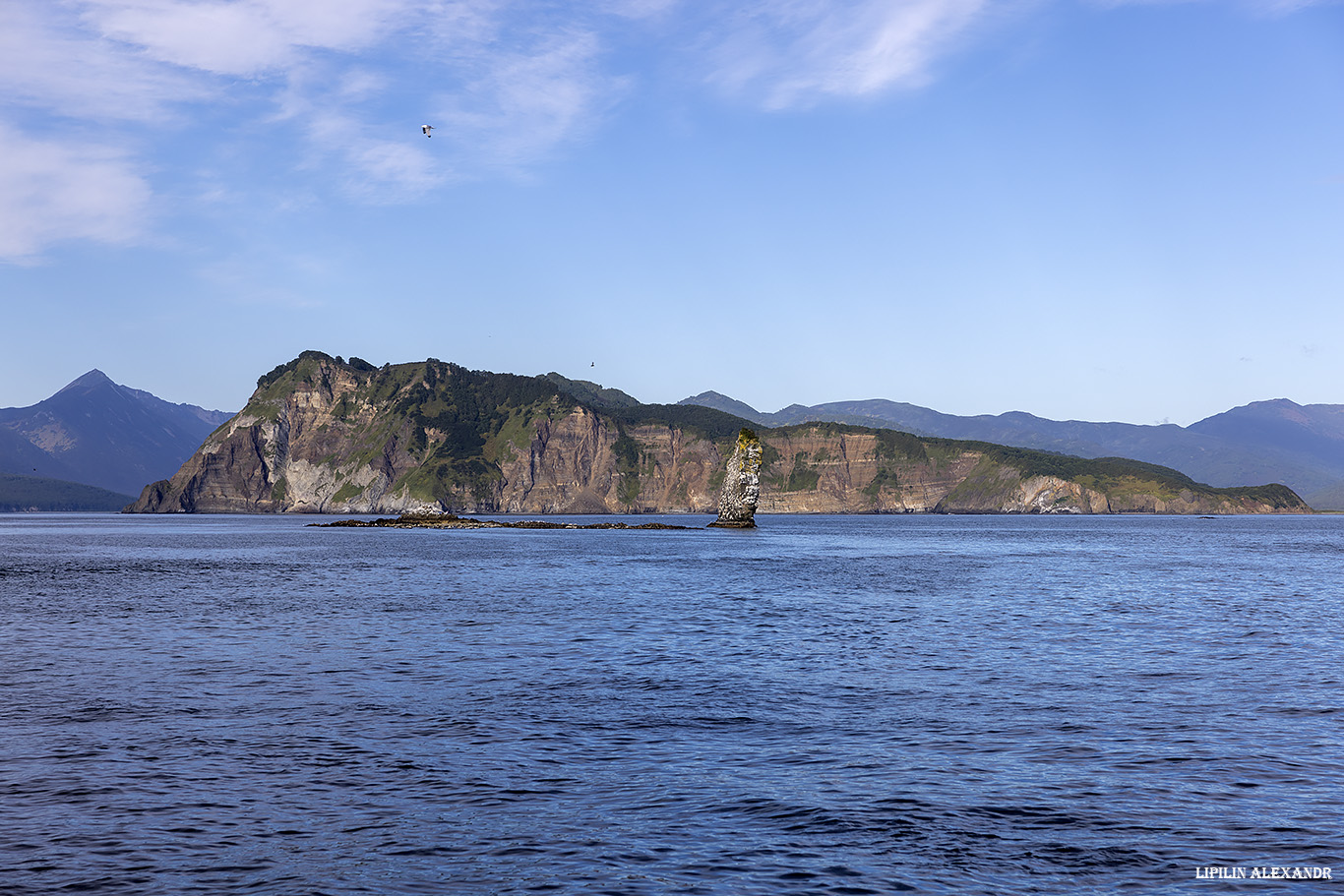 Птичий базар