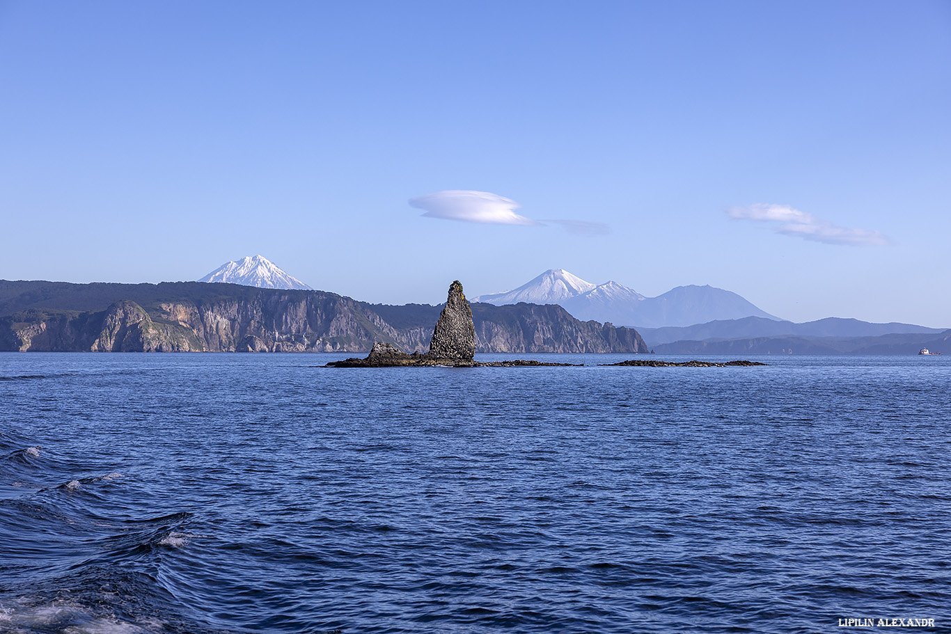 Птичий базар