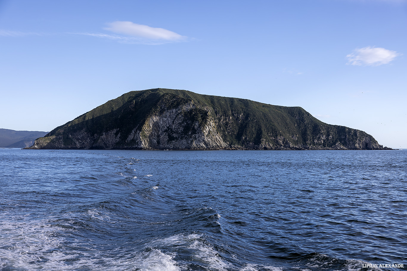 Птичий базар