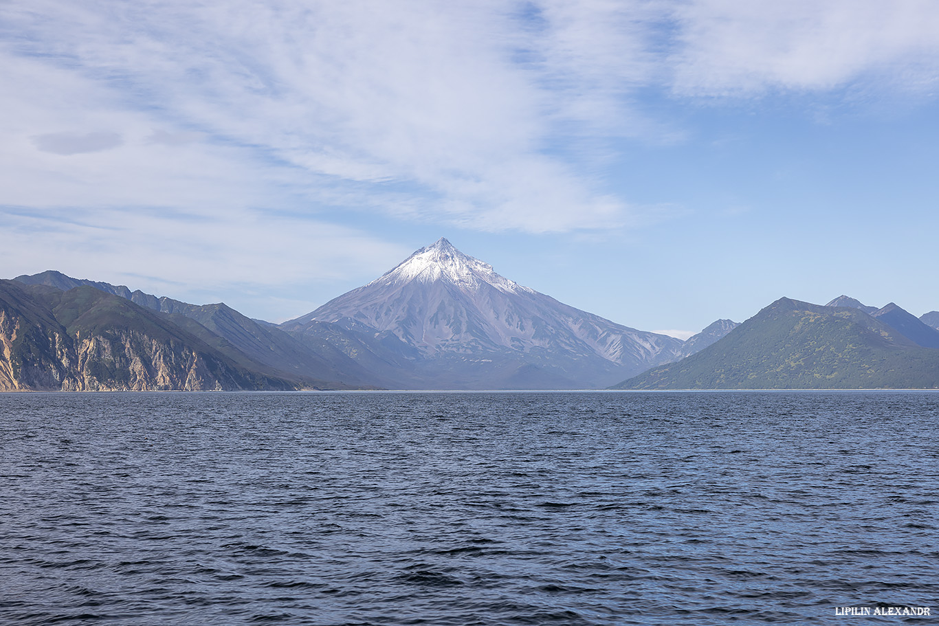 Птичий базар