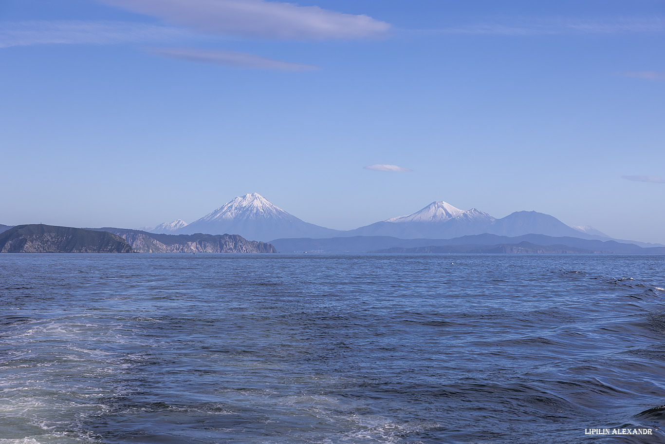 Птичий базар