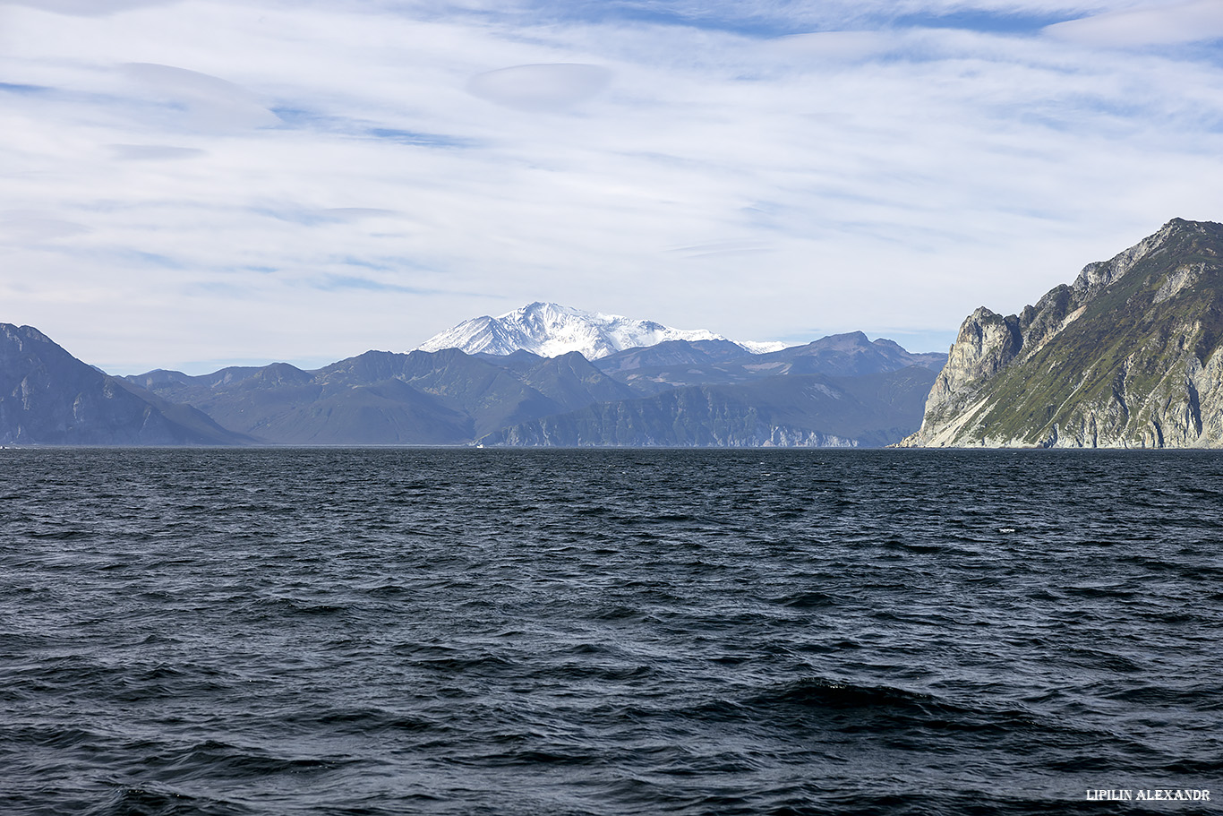 Птичий базар