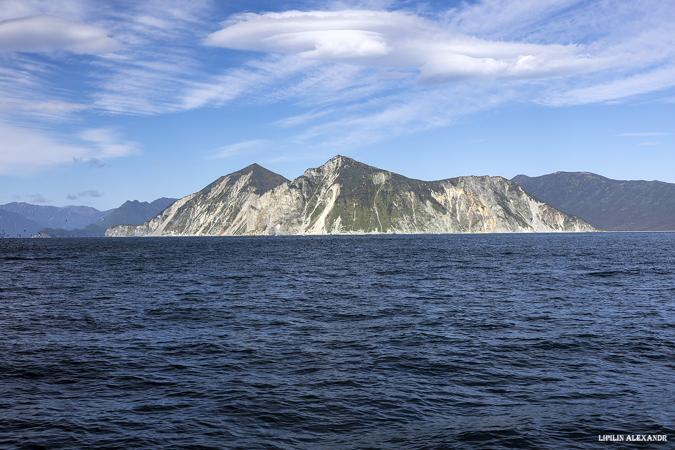 Птичий базар