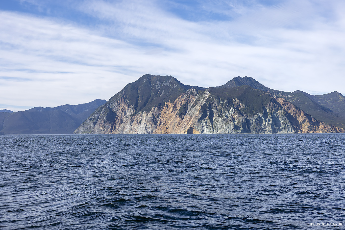 Птичий базар