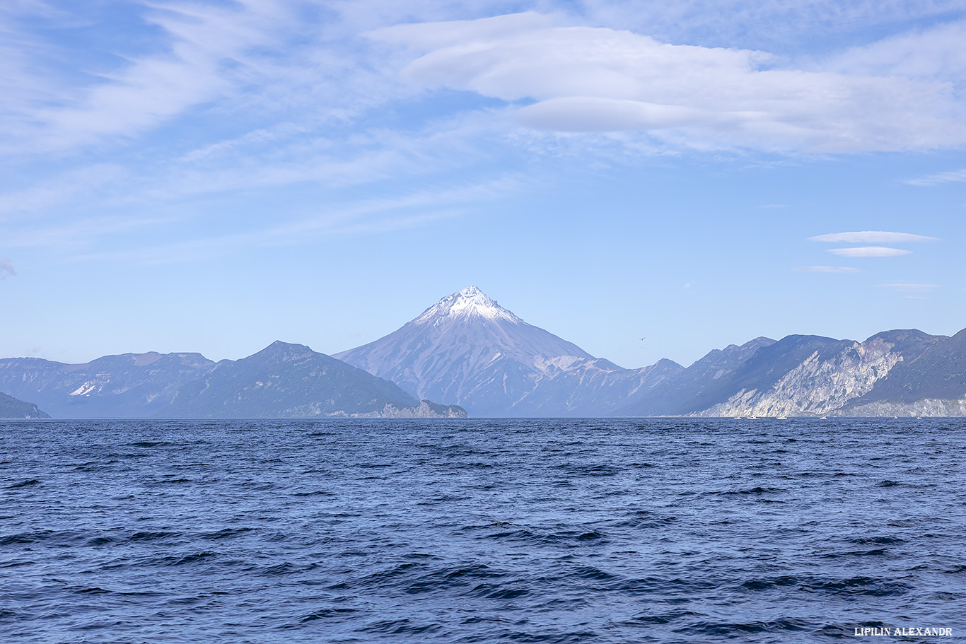 Птичий базар