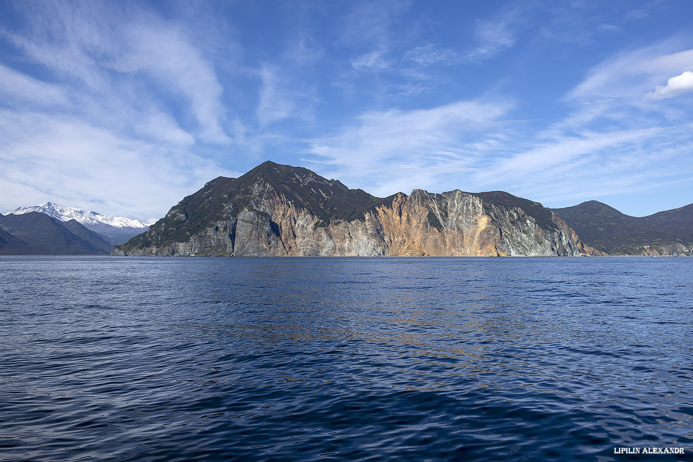 Птичий базар